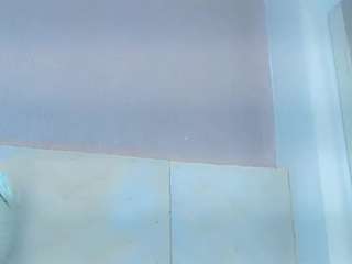 alanna-dollsx webcam model stream image