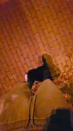 axelblows webcam cam4 model stream image