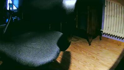 ballsring4 webcam model stream image