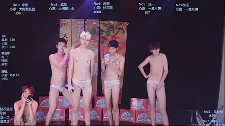 AOA-SKY webcam model stream image