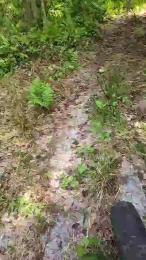 HANCOCK3333 webcam cam4 model stream image