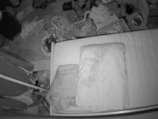voyeurcam-julmodels-whitebed-5 webcam model stream image