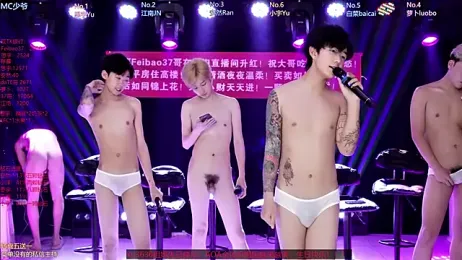 AOA-MIC webcam model stream image