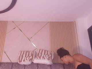 bss-naia webcam model stream image