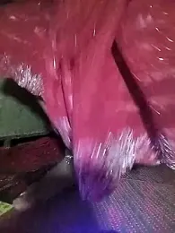 Hot_bhabhi300 webcam model stream image