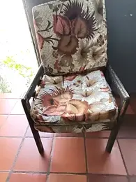 Blanco2023 webcam model stream image