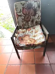 Blanco2023 webcam model stream image