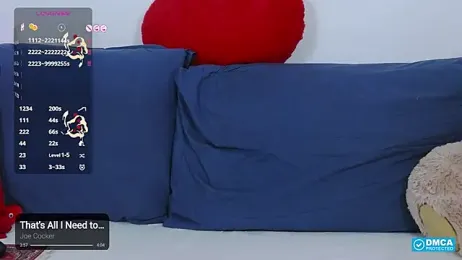 -Lorik- webcam model stream image