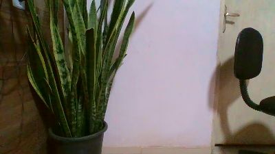 online020 webcam model stream image