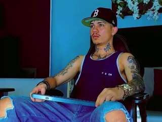 hannilest webcam model stream image