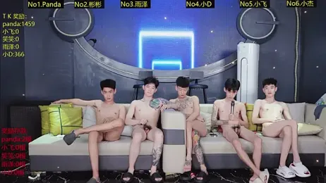 SX-009 webcam model stream image