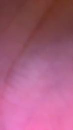 Mattihot5 webcam cam4 model stream image