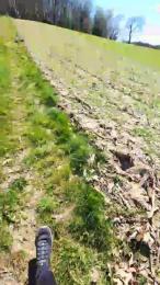 Legtiste webcam model stream image