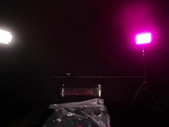 _meganmeow_ webcam chaturbate model stream image