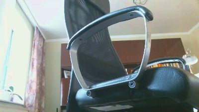 flugwespe2 webcam cam4 model stream image