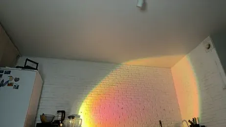 Al1ce_Fox webcam model stream image