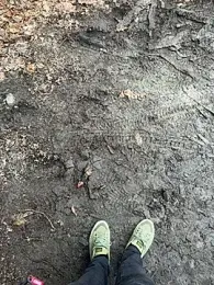 tony3729 webcam model stream image