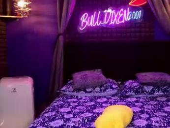 bull_vixen2001 webcam model stream image