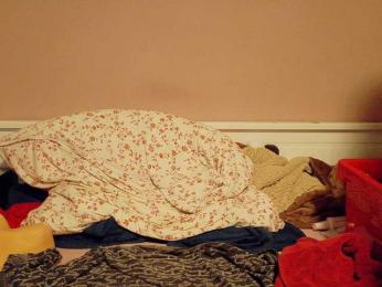 Wetgerman2 webcam model stream image