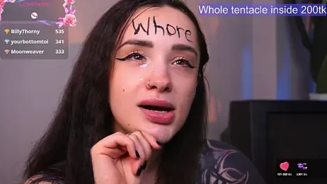 EvaCanton webcam model stream image