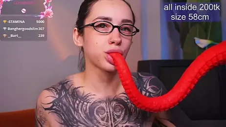 EvaCanton webcam model stream image