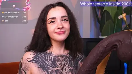 EvaCanton webcam model stream image