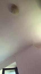 afroditasexy webcam model stream image