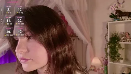 LeraKit webcam model stream image