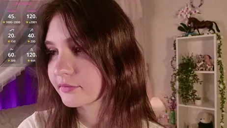 LeraKit webcam model stream image