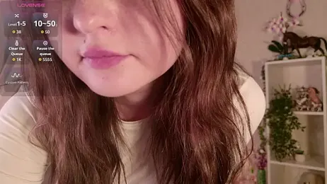 LeraKit webcam model stream image