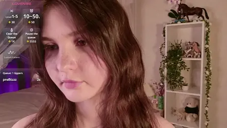 LeraKit webcam model stream image