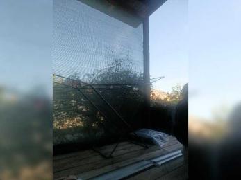 Kimmmmis webcam bongacams model stream image