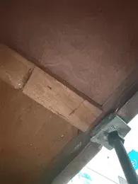 Srmotrs webcam model stream image