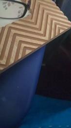 giveucum webcam model stream image