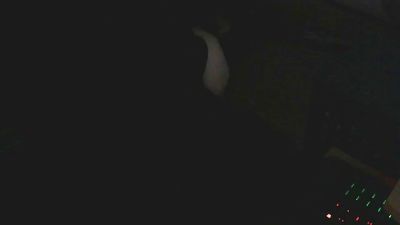 brakko2020 webcam model stream image