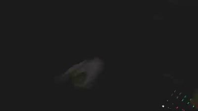 brakko2020 webcam model stream image