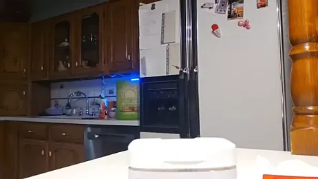 sloppytopkins webcam model stream image
