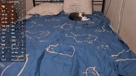 eva_zero webcam model stream image