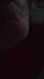 Spritz55 webcam model stream image