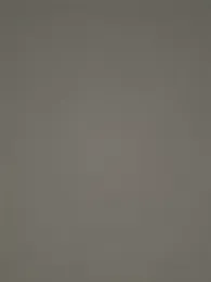 controlplay webcam model stream image