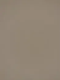 controlplay webcam model stream image