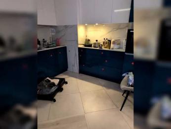 GroteskCouple webcam bongacams model stream image