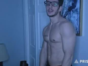 hardselfone webcam model stream image