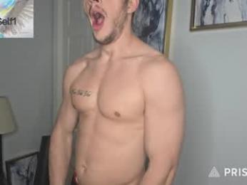 hardselfone webcam model stream image
