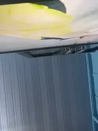 Celesxk webcam model stream image