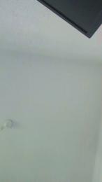RubioDx webcam model stream image