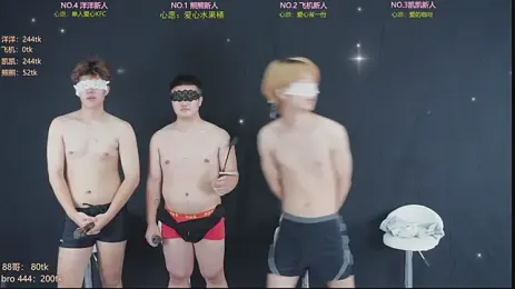 LV-888 webcam model stream image