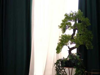 ArtTeasee webcam model stream image