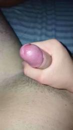 Lasso29 webcam model stream image
