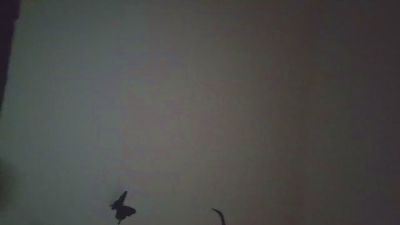 latuadea2 webcam model stream image